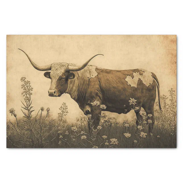 Texas Longhorn Tissue Paper | Zazzle