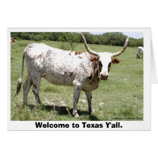 Texas Longhorn, Welcome to Texas Y'all. Cards
