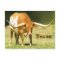 Texas Longhorn With Facts Postcard
