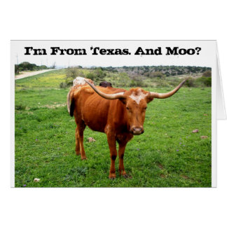 Texas Longhorn With Funny Texas Saying Cards