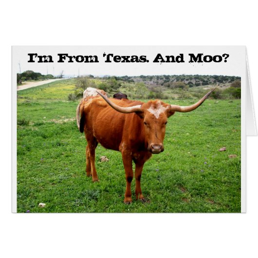 Texas Longhorn With Funny Texas Saying Cards (Front Horizontal)