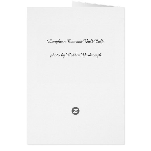 Texas Longhorns (Back)