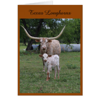 Texas Longhorns Cards