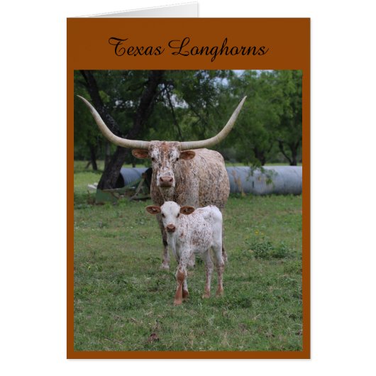 Texas Longhorns Cards (Front)