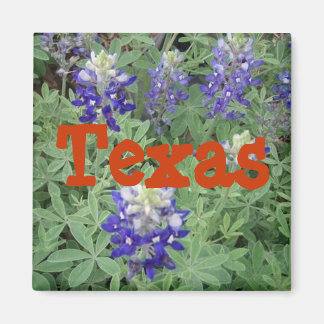 Texas Magnet