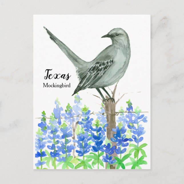 Texas Mockingbird Bluebonnet Watercolor Postcard (Front)