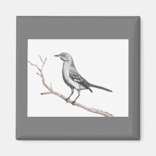 Texas Mockingbird Magnet