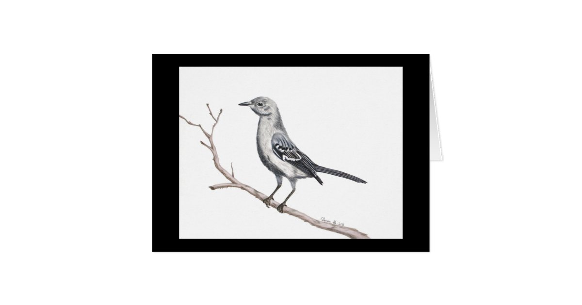 Texas Mockingbird Small Card Zazzle Com