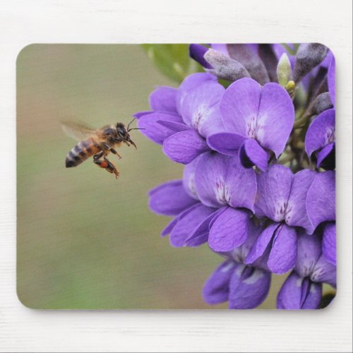 Texas Mountain Laurel Bee in Flight Mouse Pad