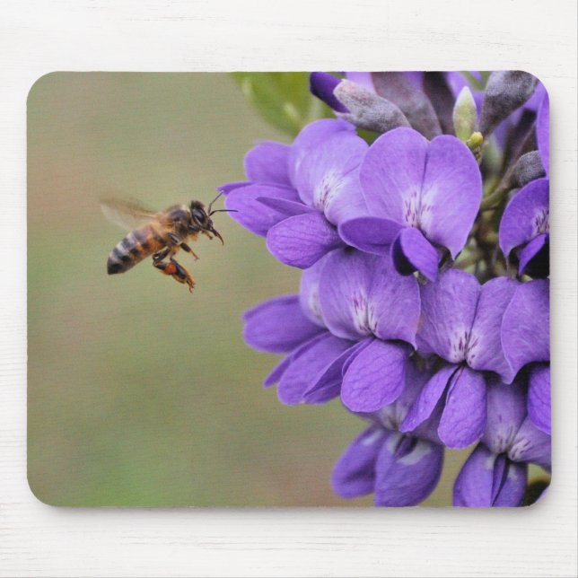 Texas Mountain Laurel Bee in Flight Mouse Pad (Front)