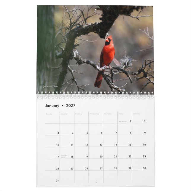 Texas' Natural Beauty 2011 Calendar (Jan 2027)