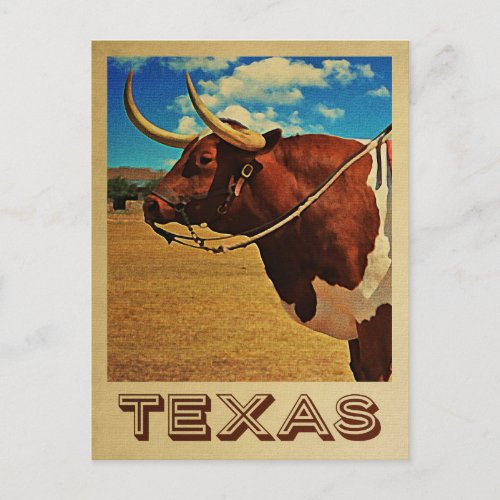 Texas Postcard Bull Vintage Travel Cattle Ranch