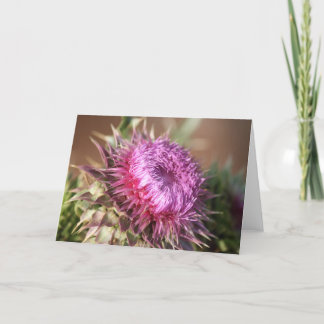 Texas Purple Thistle Greeting Card