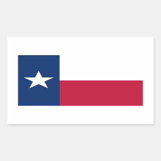 Texas Rectangular Sticker