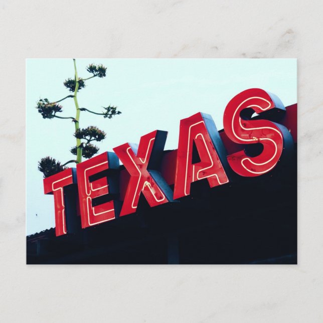Texas Red Neon Lights USA America Postcard (Front)