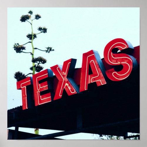 Texas Red Neon Lights USA America Poster