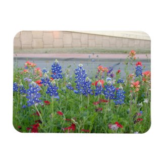 Texas Roadside Bluebonnet/Wildflower Magnet