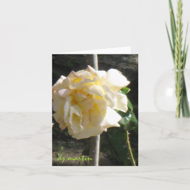 Texas Rose Card (Front)