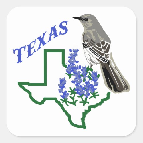 Texas Square Sticker