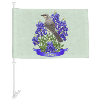 Texas State Bird & Flower Sage Green Car Flag