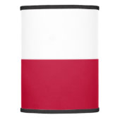 Texas state flag - high quality authentic color lamp shade (Front)