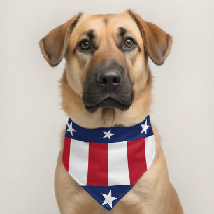  Texas State Flag Patriotic Pet Bandana Collar