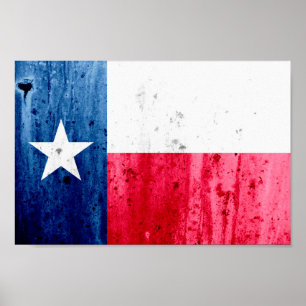 Texas State Flag Poster