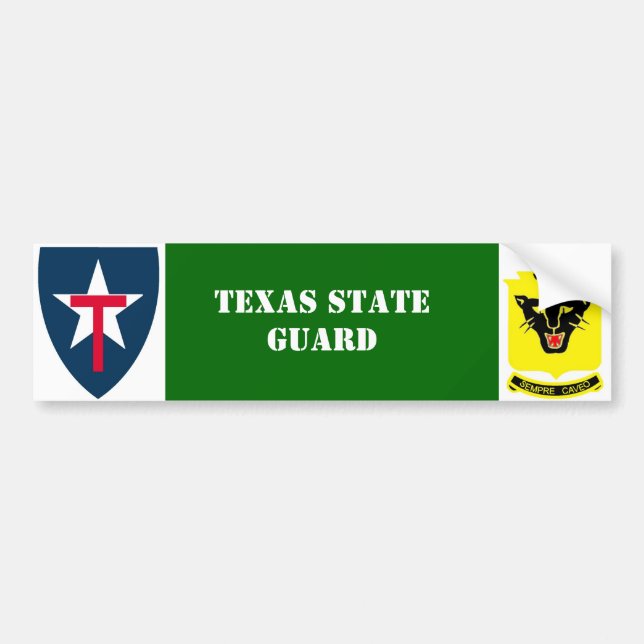 Texas State Guard 4th Reg. Bumper Sticker (Front)