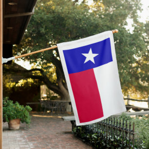 Texas State House Flag