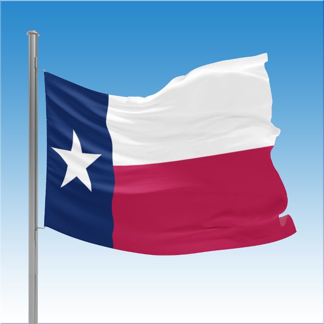 Texas State House Flag (Texas State House Flag)