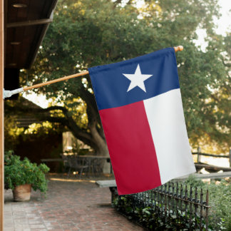 Texas State House Flag