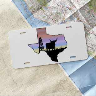 Texas State License Plate