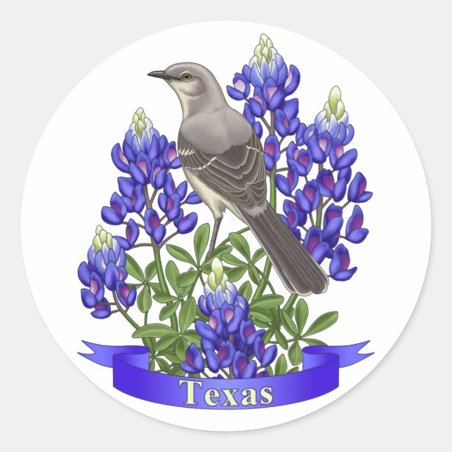 Texas State Mockingbird & Bluebonnet Flower Classic Round Sticker (Front)