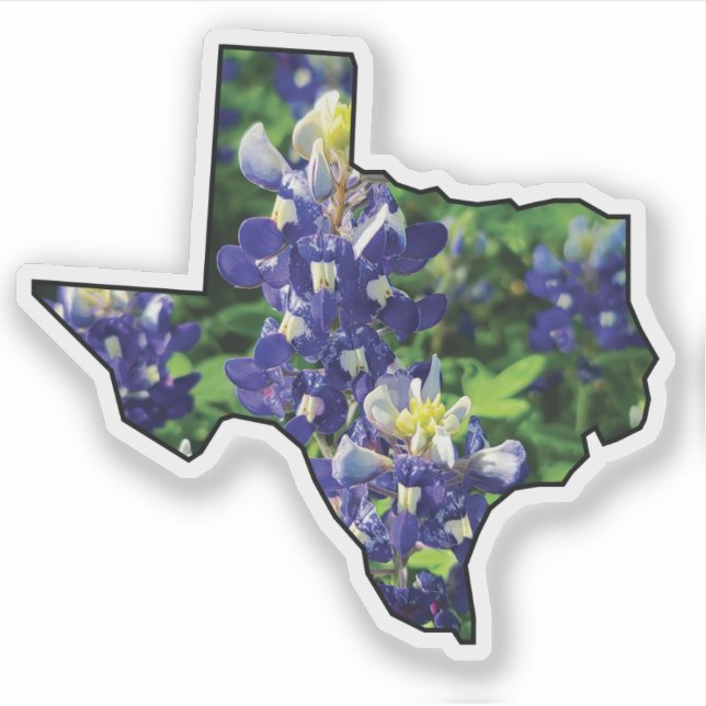 Texas State Outline with Bluebonnets Sticker (Front)