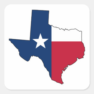 Texas State Square Sticker