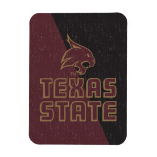 Texas State Supercat Color Block Distressed Magnet