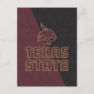 Texas State Supercat Color Block Distressed Postcard