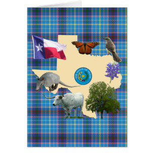 Texas State Symbols Cards