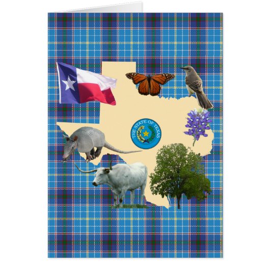 Texas State Symbols Cards (Front)