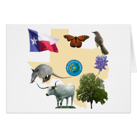 Texas State Symbols Cards (Front Horizontal)