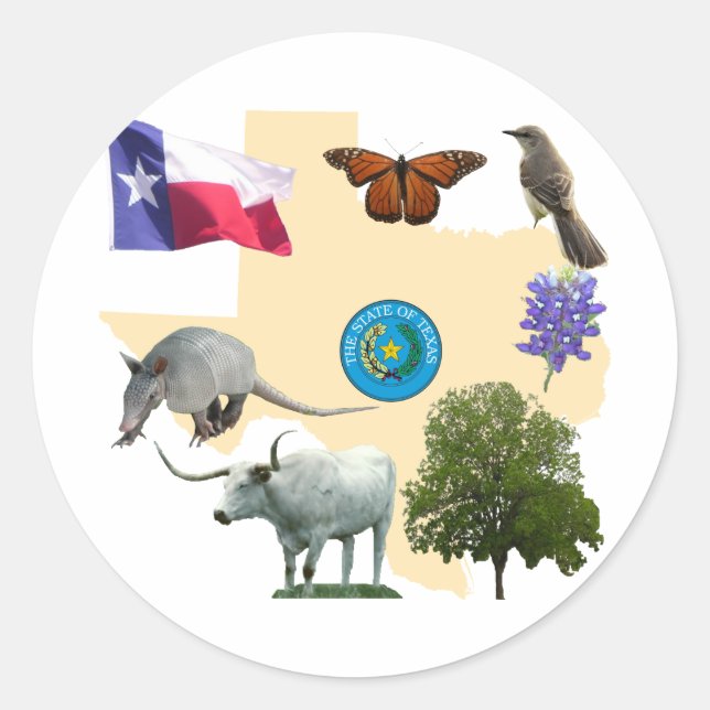 Texas State Symbols Classic Round Sticker (Front)