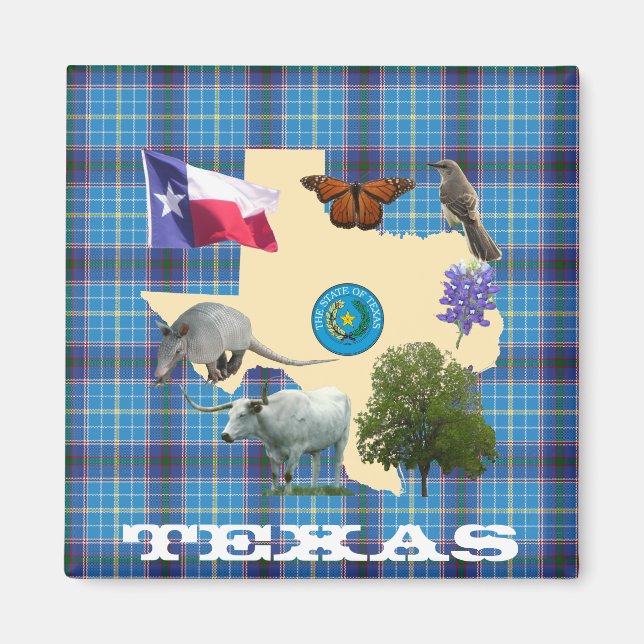 Texas State Symbols Magnet (Front)