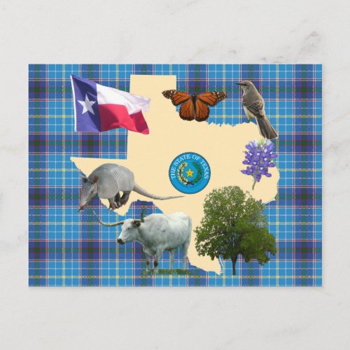 Texas State Symbols Postcard