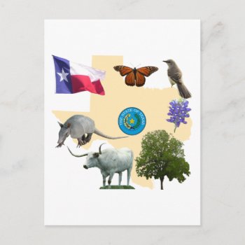 Texas State Symbols Postcard by wesleyowns at Zazzle