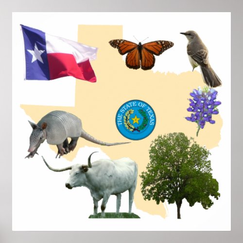 Texas State Symbols Poster