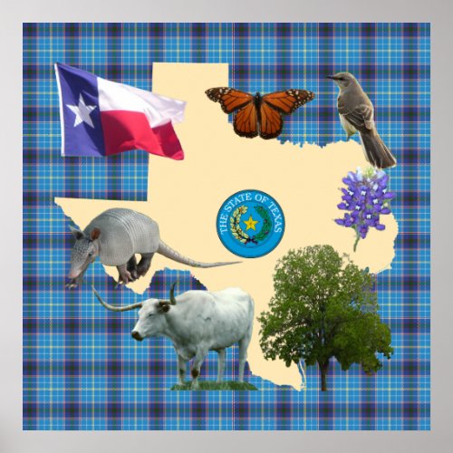 Texas State Symbols Poster