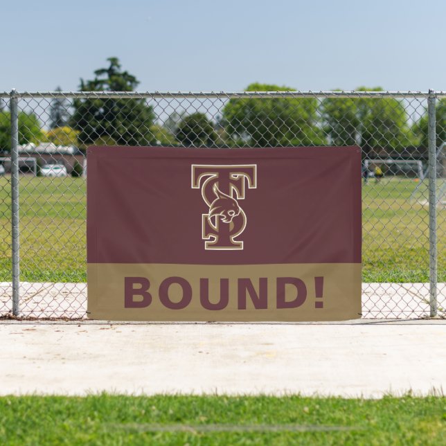 Texas State University | College Bound Banner (Insitu)