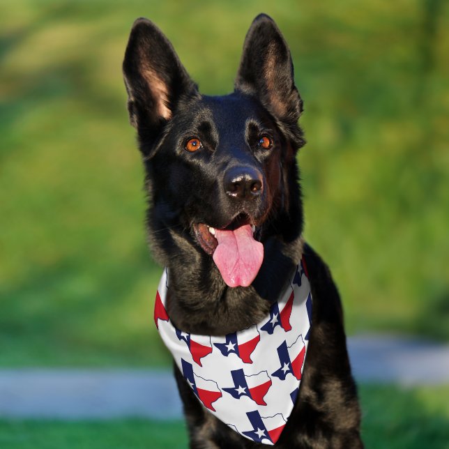 Texas State USA Dog Pet Bandana Collar (Dog)