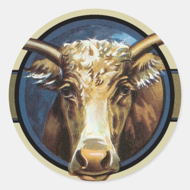 Texas Steer Longhorn Classic Round Sticker (Front)