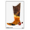 "Texas Summer" Peel and Stick Cowboy Boot  